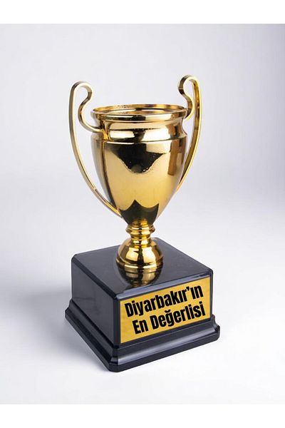 lili hediyelik Diyarbakır's Most Valuable Written Award Success Championship Trophy 23 cm Diyarbakır Gift