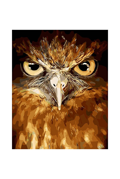 Jangostor set pictură după numere, vopsea acrilică, maro, bufniță, 40 x 50 cm