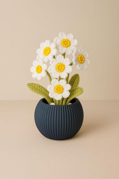 El örgüsü بابونج محبوك يدوياً في أواني - زهرة هدية دائمة الخضرة