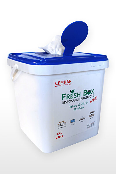 Fresh Box kova ıslak mendil 250 yaprak