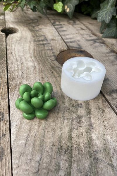 STOREMAX Ntwork Concept Moonstone Succulent Candle Mold (Silicone) Art 1087243