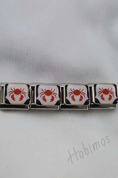 Hobimos 1 Piece Zodiac Steel Italian Bracelet Charm