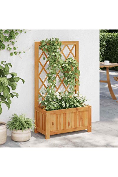 vidaxl Garden Raised Bed with Trellis Solid Acacia Wood