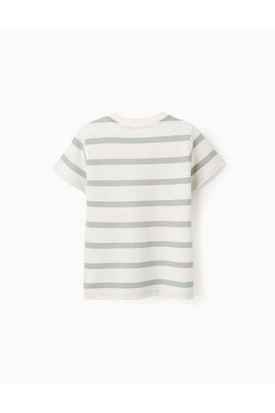 Ziddy Striped Cotton T-shirt for Boys, White/Green