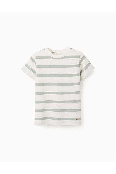Ziddy Striped Cotton T-shirt for Boys, White/Green