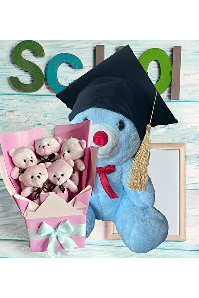 Solemia Graduation Gift: Graduation Plush Teddy Bear & Pink Teddy Bear Bouquet