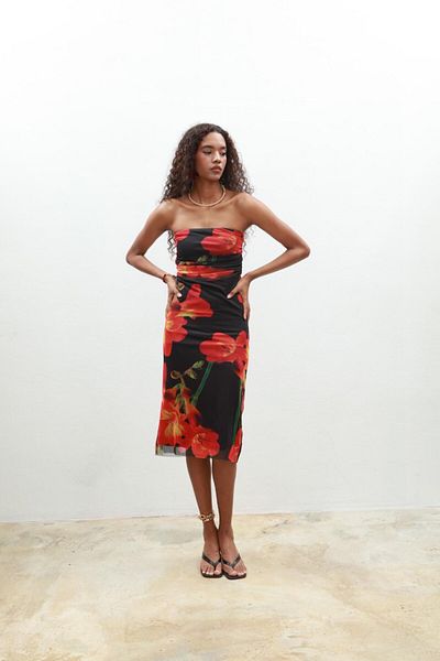 Pina Strapless Tulle Print Dress