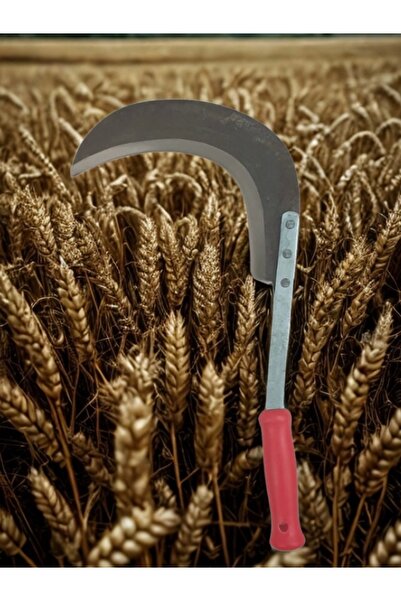 ÇAYLAR AVM Sürmene Çayır Orağı El Yapımı Keskin Çim Biçme Orak Kırmızı