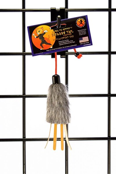 Kung Fu Kitty طرف بديل من جلد ذيل التنين