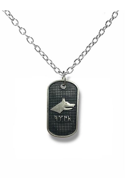 Herşey Nota Gök Turkic Turkish Written Imprint Necklace with Bozkurt Figure – Silver Color Unisex Metal Jewelry
