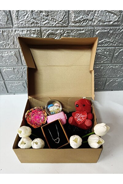 Morrano Gift Işıklı Kar küresi Çelik Kolyeve Peluş Anahtarlık Hediyeli, Tasarım Hediye Kutusu