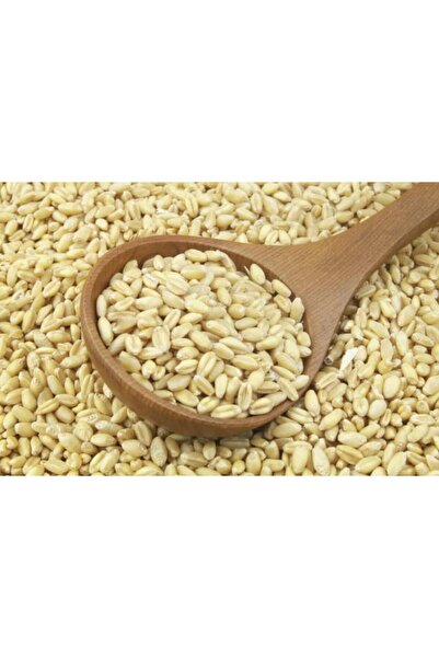 SİLİFKE MARKET Aşurelik Atalık Sarı Buğday 1 kg