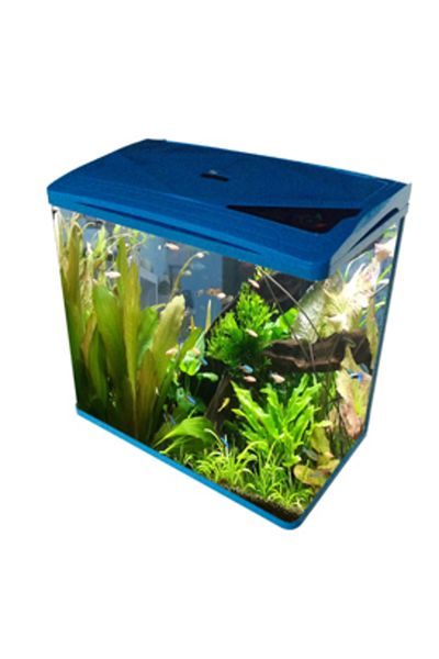 Oblong حوض السمك S400