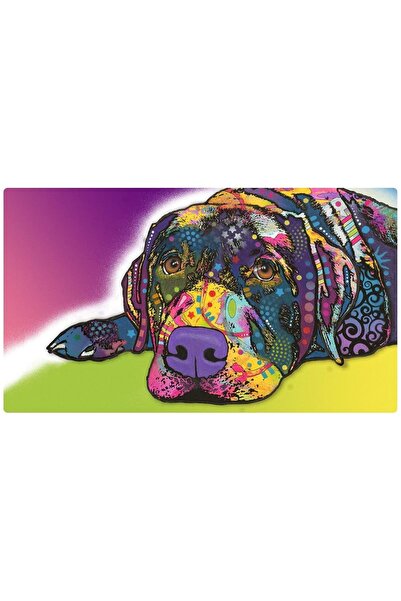 Drymate سجادات للكلاب من نوع سافي لابرادور 16 × 28 بوصة / 40 × 71 سم