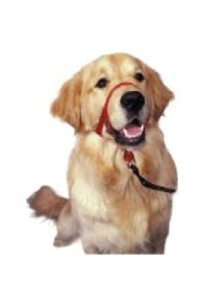 Company Of Animals COA HH012 Head Collar Black- size1
