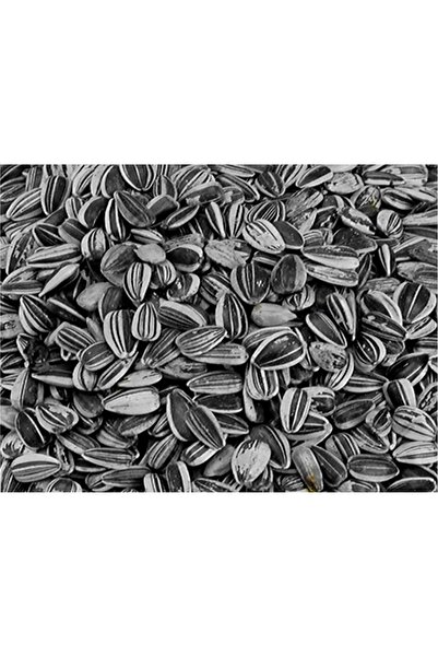 VADIGRAN Sunflower seed small striped 2,5 kg