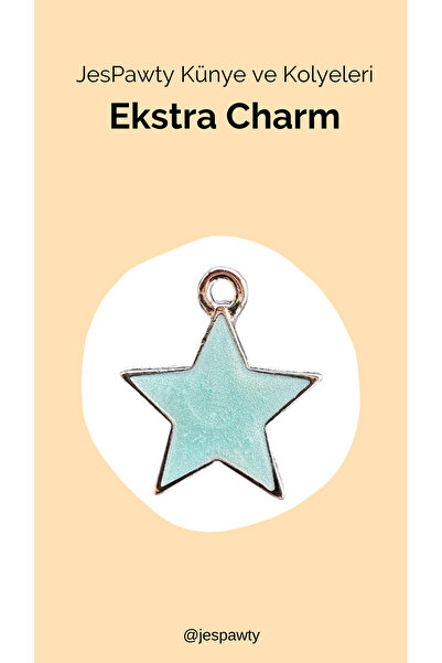 JesPawty Kolye ve Künye İle Uyumlu Charm Gümüş Renk Kaplama