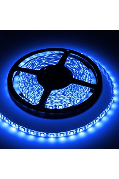 OEM BANDA LED 5M 300X5050 IP65 ALBASTRU REBEL