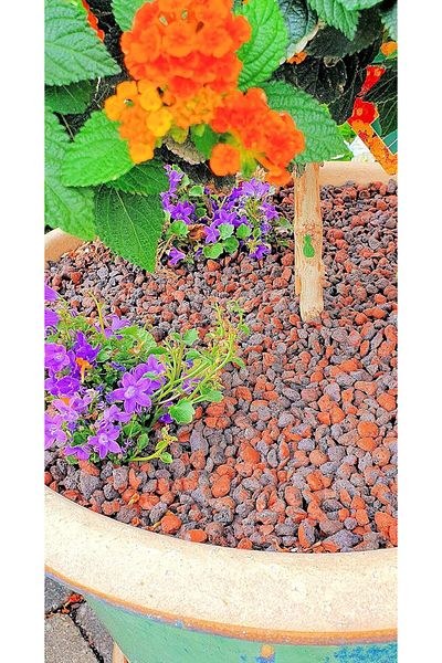 Humusziegel Expanded clay Humusziegel, XL, 10 l, for low-maintenance plants