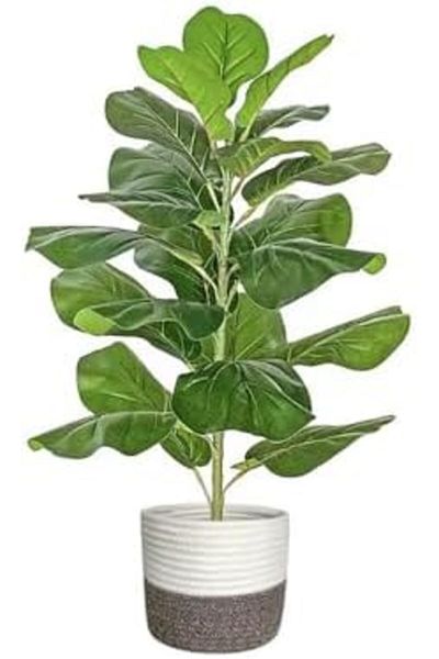 NEXIFY Artificial Plant, Fake Ficus tree with 21 Leaves and 78cm tall, Lifelike Artificial Plant in Pot for
