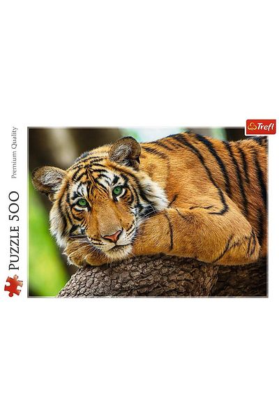 Trefl Trefl Puzzle Portrait of the Tiger, 500 pieces