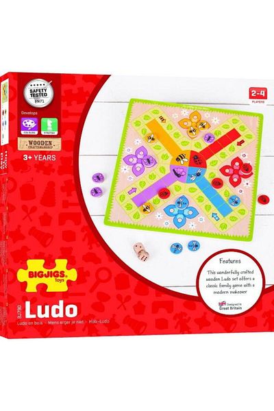BigJigs BigJigs Interactive Game Don't Be Angry Brother BJ790
