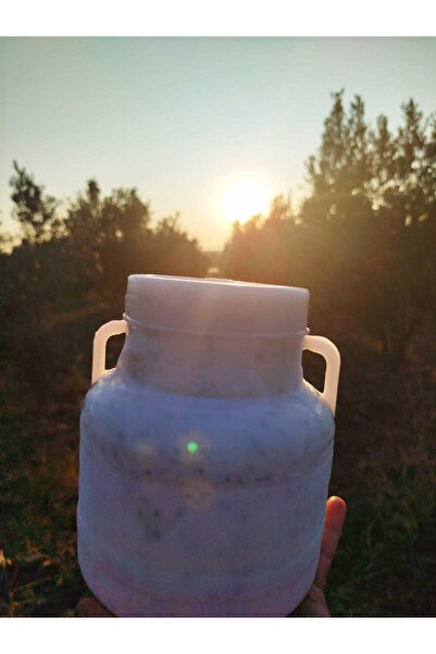 SAFA HATAY YÖRESEL ÜRÜNLER HATAY YÖRESEL CARA ÇÖKELEK ÇÖREKOTLU 3KG BİDON