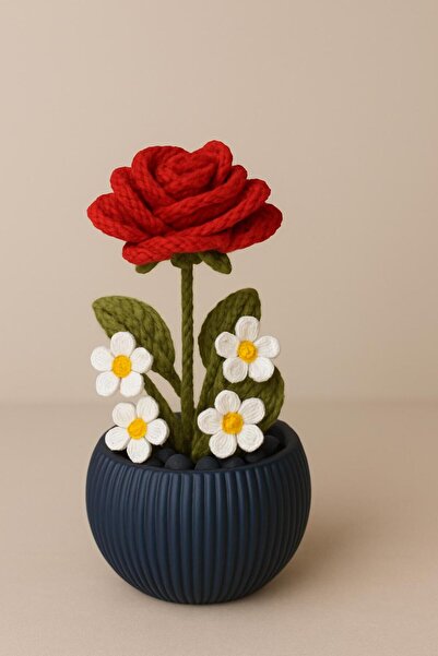 El örgüsü وعاء زهور منسوج يدويًا - هدية لا تتلاشى لأحبائك