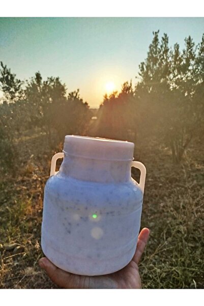 SAFA HATAY YÖRESEL ÜRÜNLER HATAY YÖRESEL CARA ÇÖKELEK ÇÖREKOTLU 3KG BİDON