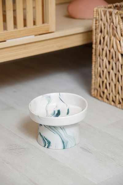 Porsellena Ceramic Slanted Cat and Dog Food Bowl Slanted and Elevated
