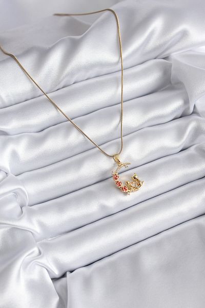 Clariss 316l Steel Gold Color Crescent Cat Model Zircon Stone Detail Women's Necklace