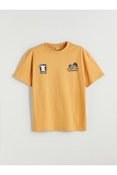 LC Waikiki Sari Crew Neck Boy's T-Shirt