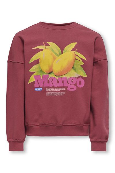 Kids Only Sweatshirt KOGPHILEA Sweatshirt