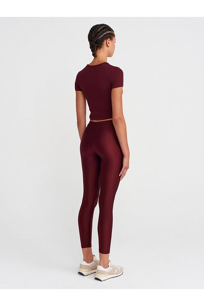 Dilvin 4001 Nylon Tights-Burgundy