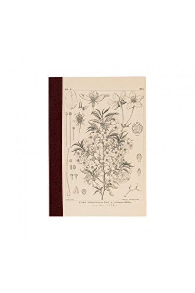 HOBONICHI Kampanyalı Hobonichi Yamazakura A6 Kareli Defter