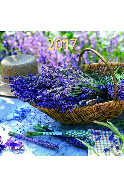 teNEues Garden and Decoration 2017