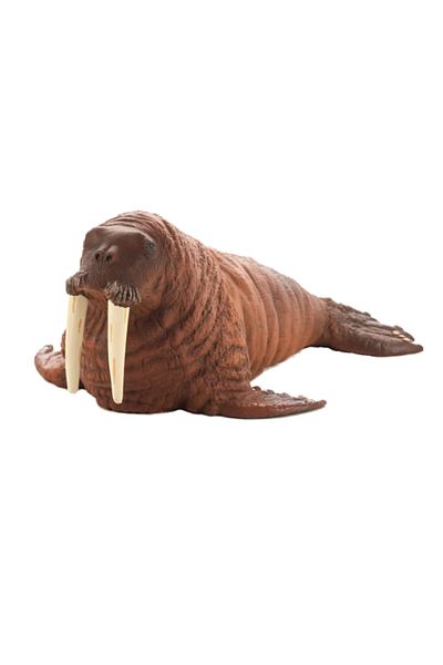 MOJO Walrus (Portugal)-XXL (387209)