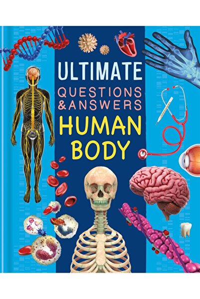 autumn publishing الأسئلة والأجوبة النهائية: جسم الإنسان