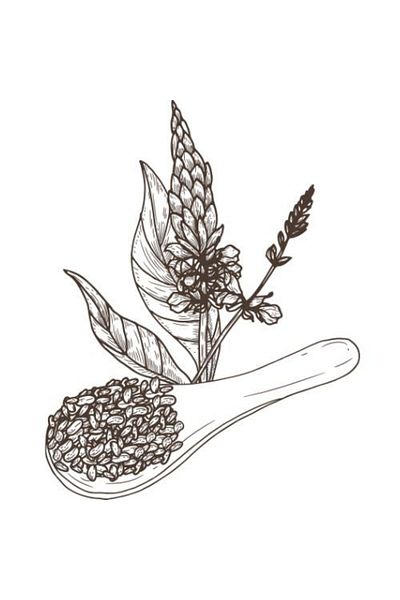 Alteya Organics Ulei de semințe de chia 100% Alteya Organics 50 ml