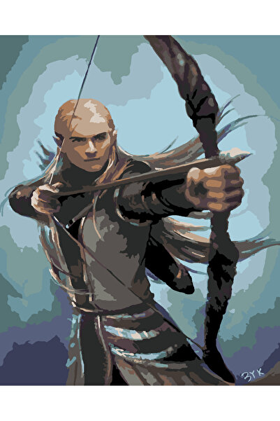 wombhobby legolas 2 yüzüklerin efendisi Sayılarla Boyama Seti 40x50 Çerçevesi...