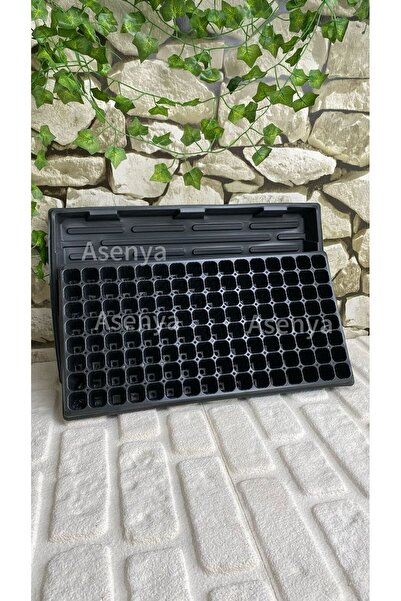 Asenya 3 Adet 128 Göz Fide Viyolü VE 3 Adet Derinlik 5 cm Fide Viyol Tepsisi ...