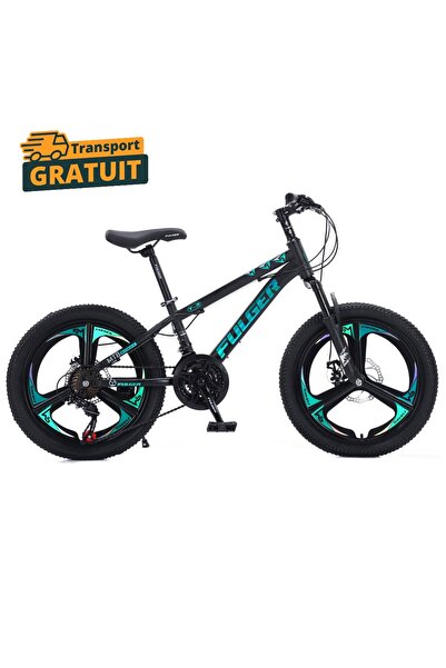 OEM Bicicletă Fulger by Caraiman, roți de 20 inch, cadru de oțel, frâne pe di...