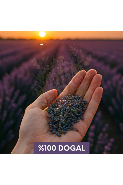 Strauss HOME Lavanta Kesesi – 18’li Set | 5x7cm | Güçlü Koku | Doğal & Taze Lavanta