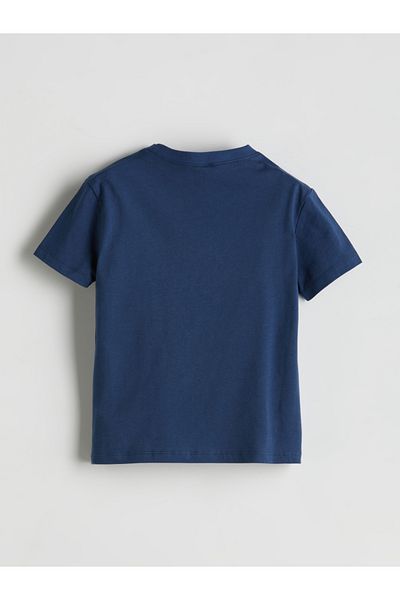 LC Waikiki Crew Neck Printed Boy's T-Shirt