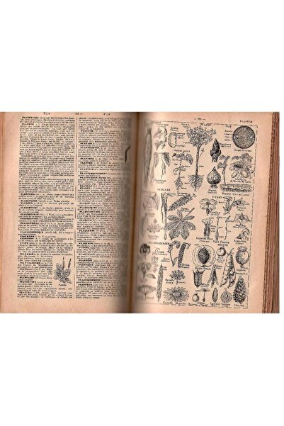 Türk Dil Kurumu Yayınları Fransızca - İngilizce Resimli Sözlük (Eski Basım)