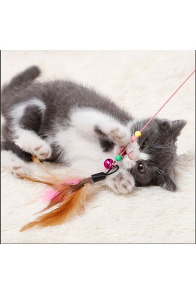DennisEylul Game Fishing Rod for Cats 90 cm
