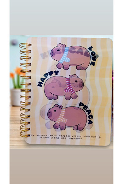 synshop Capybara Capybara Hologramă Caiet cu spirală în dungi cu separator de copertă schimbător