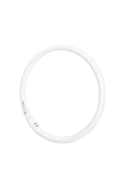 ELBI ELECTRIC Circular Fluorescent Tube T5 32W