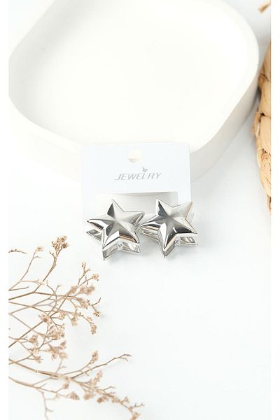 Jack Ferrero Silver Steel Women's Earrings