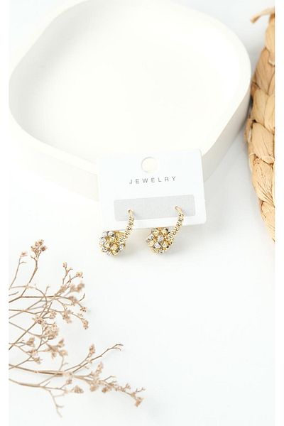 Jack Ferrero STEEL WOMEN EARRINGS